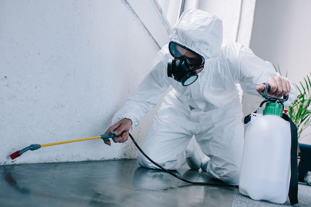 Pest Control Services: Protecting Your Property Investment and Reputation